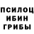 Галлюциногенные грибы прущие грибы Ivan Dubrovin