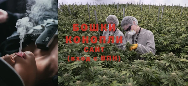 не бодяженный Белокуриха